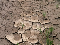drought drought