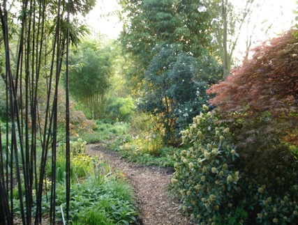 hirtus botanicus bamboo walkway hirtus botanicus bamboo walkway
