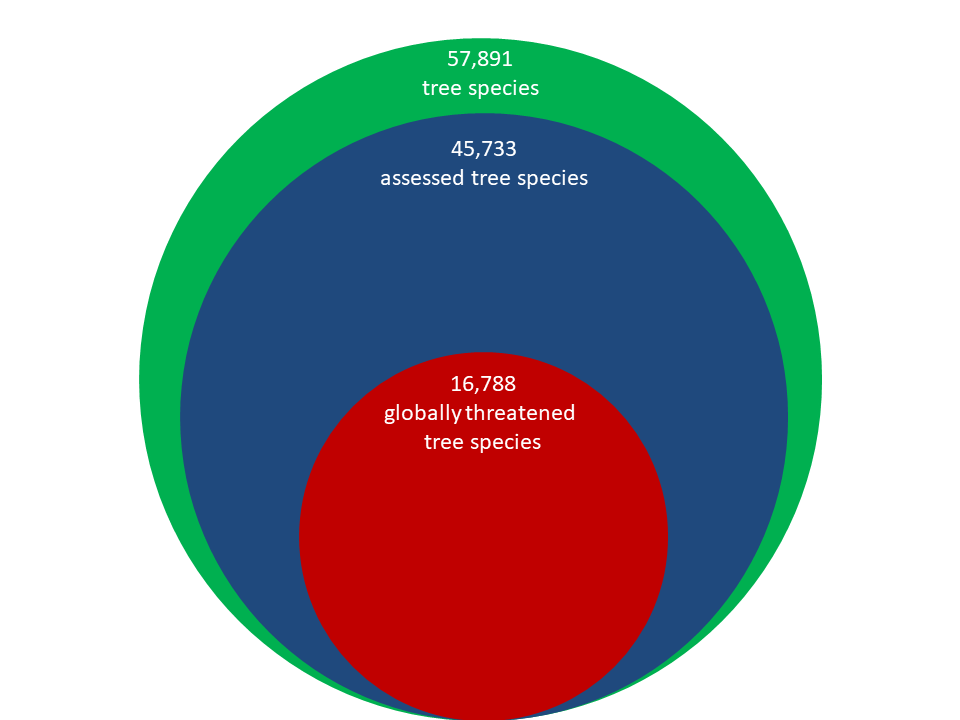 Categorias de ameaças da IUCN. Fonte: IUCN (2022)