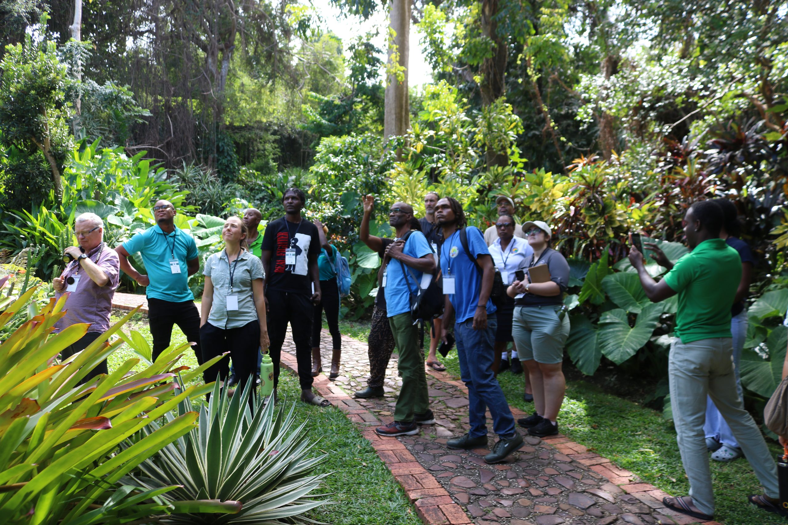 Plant Health tour at Andromeda Botanic Gardens